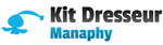 Deck Manaphy · Kit Dresseur · Diamant & Perle