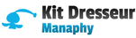 Deck Manaphy · Kit Dresseur · Diamant & Perle