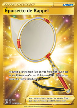 Épuisette de Rappel