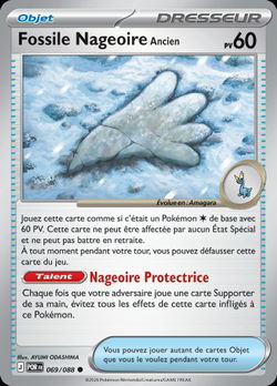 Fossile Nageoire Ancien