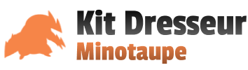Deck Minotaupe · Noir & Blanc Kit du Dresseur