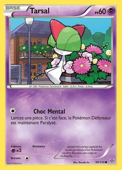 Tarsal