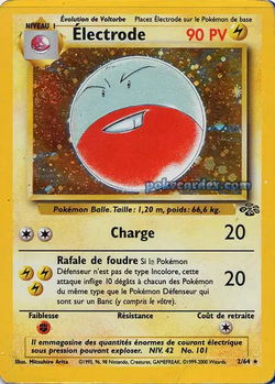 Électrode