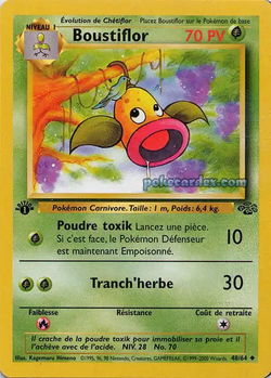 Boustiflor