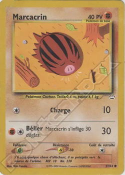 Marcacrin