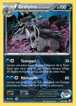 Grahyèna de la Team Aqua
