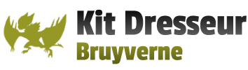 Deck Bruyverne · XY Kit du Dresseur