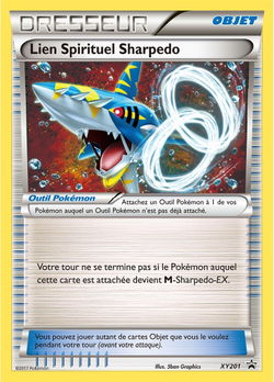 Lien Spirituel Sharpedo