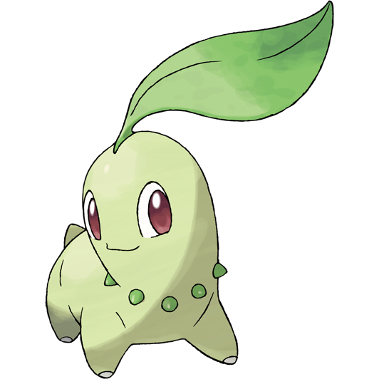 Chikorita