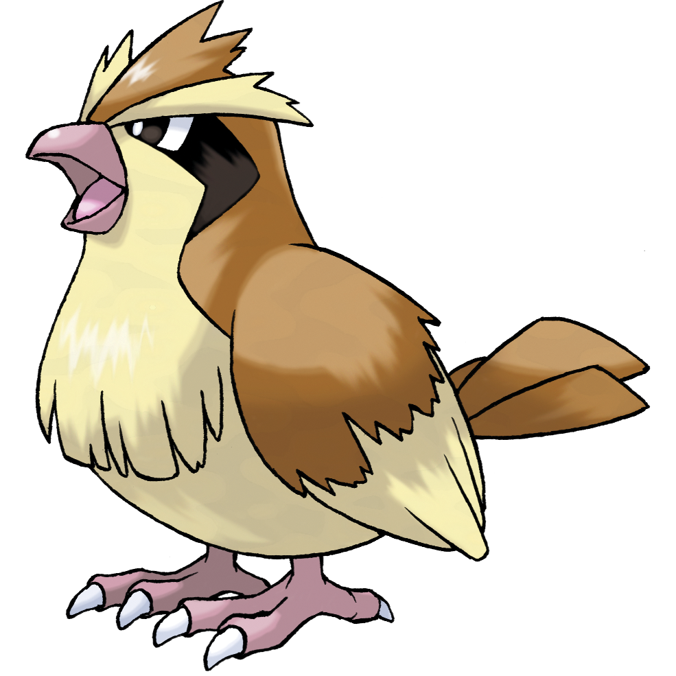 Pidgey