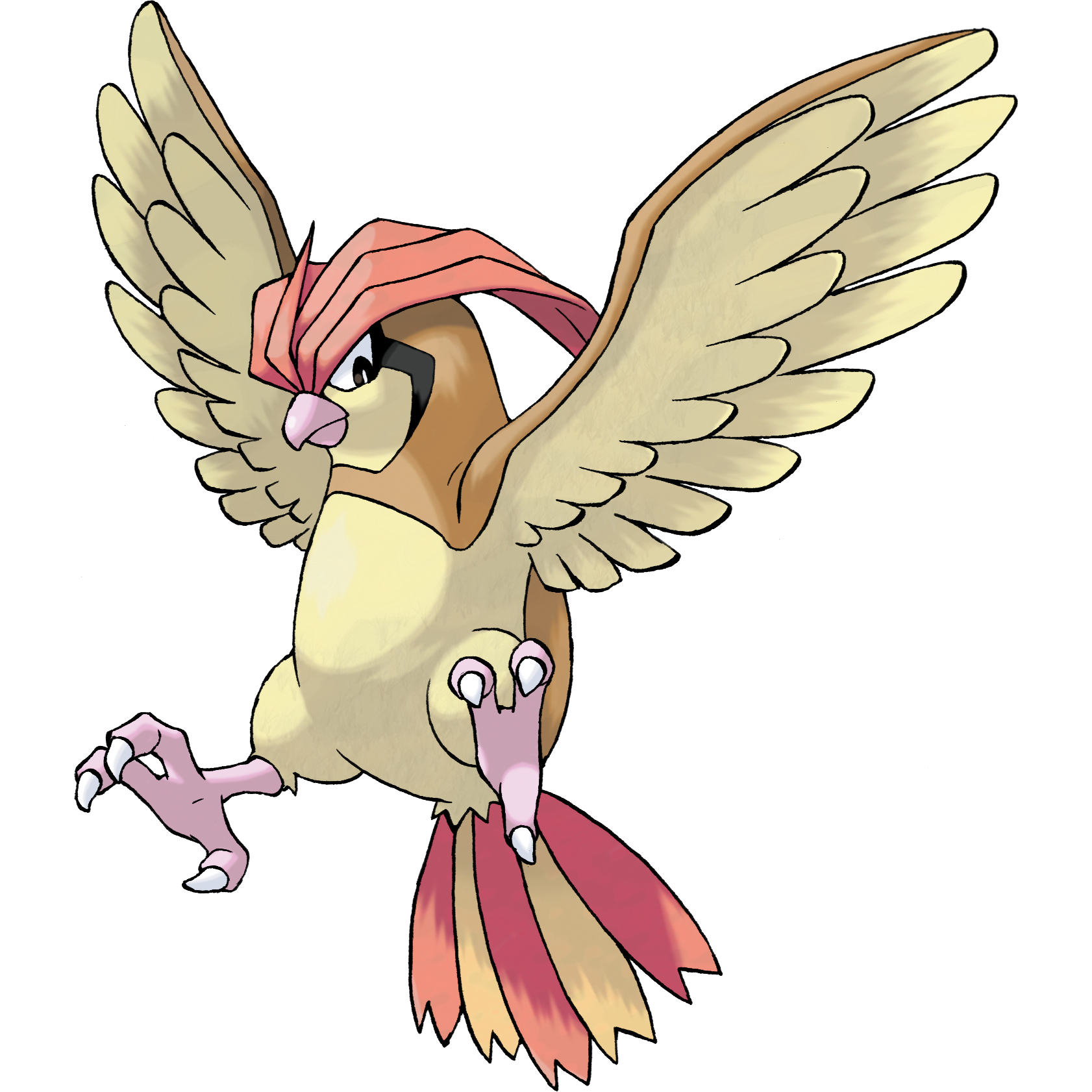 Pidgeotto