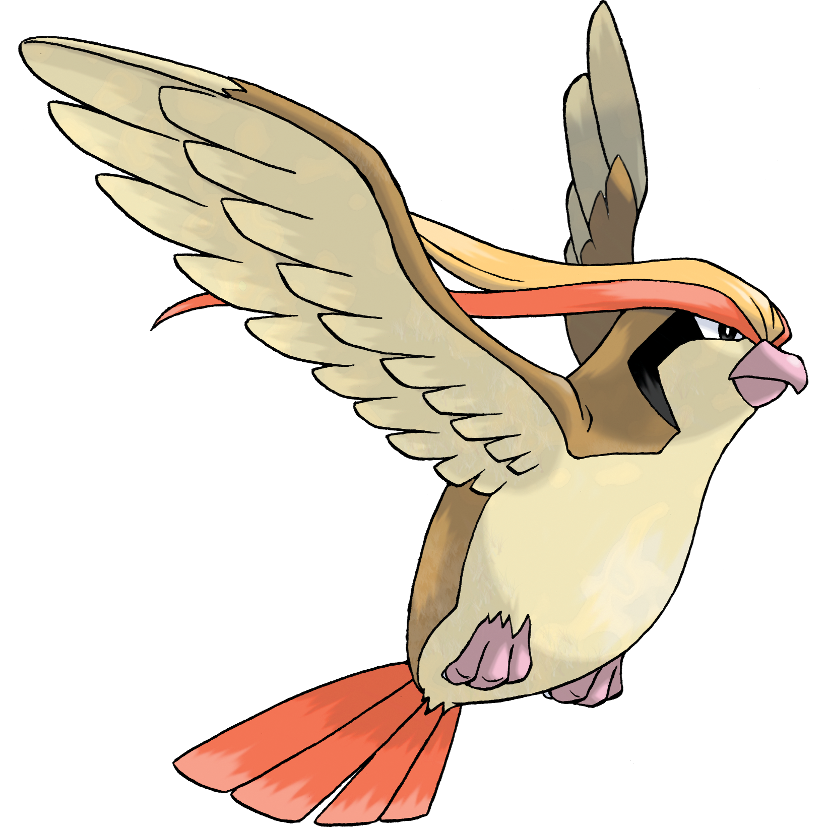 Pidgeot