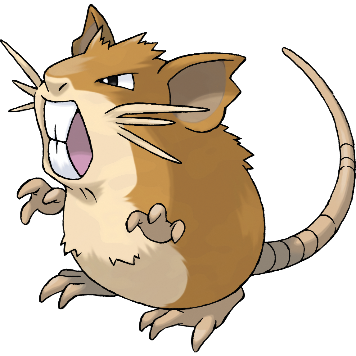 Raticate