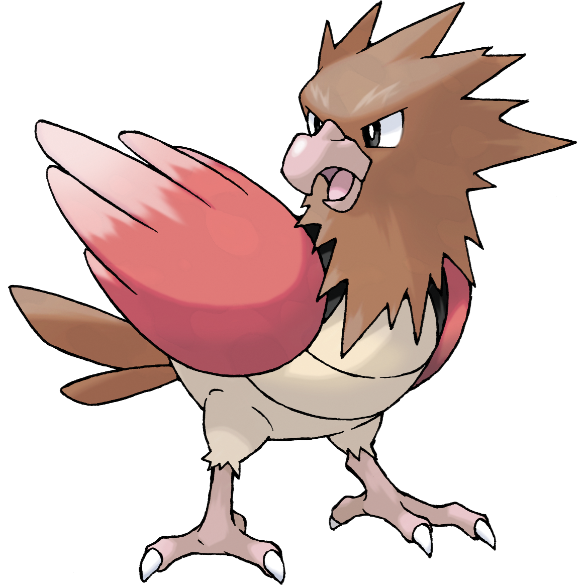 Spearow