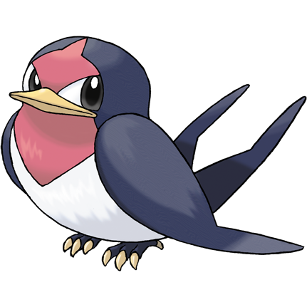 Schwalbini