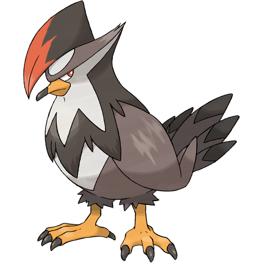 Staraptor