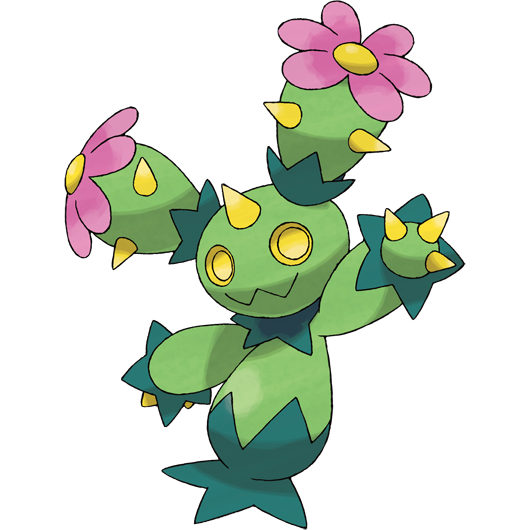 Maractus