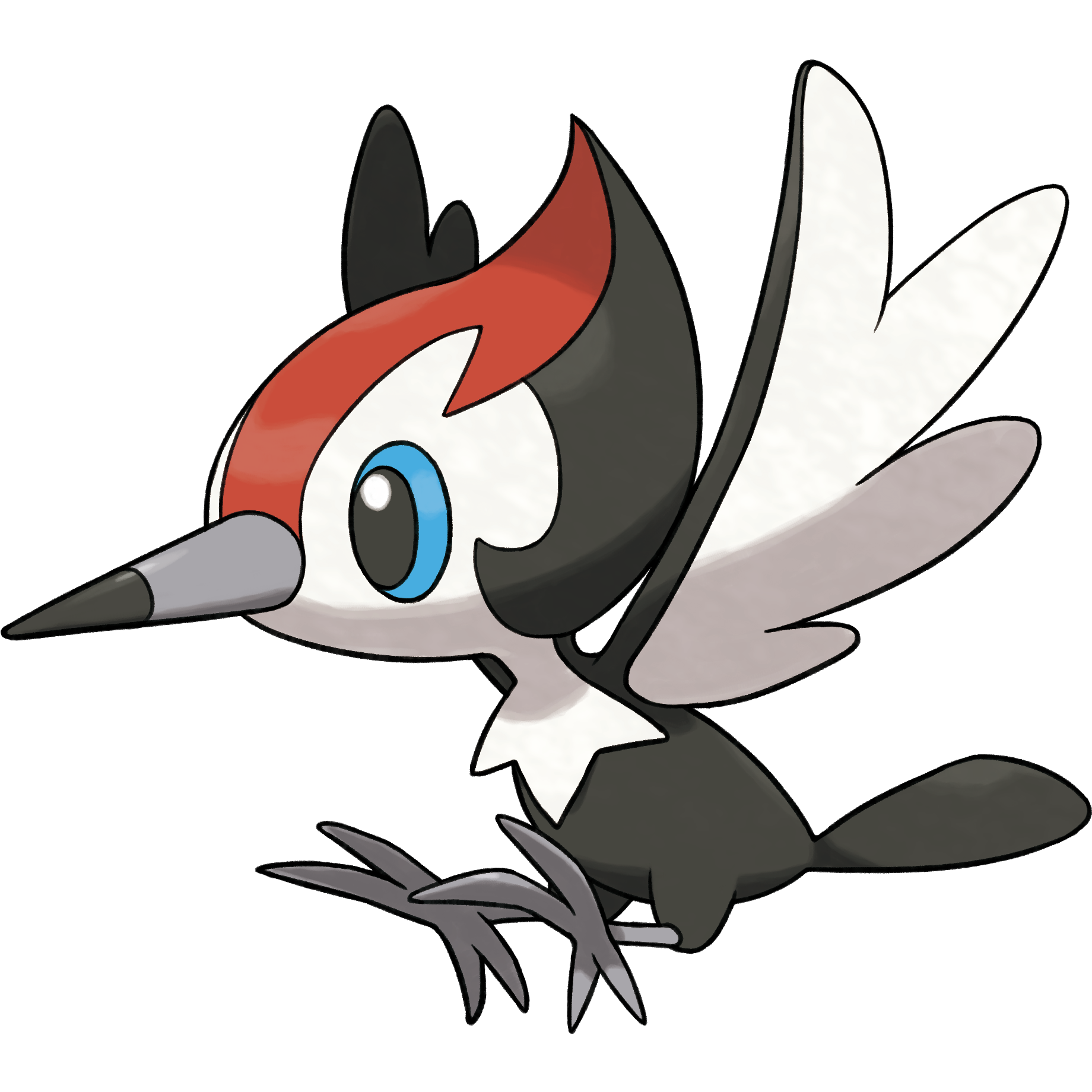 Pikipek