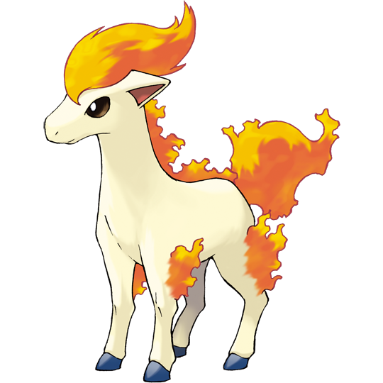 Ponyta