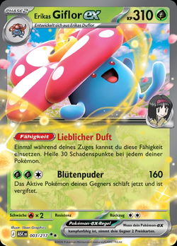 Erikas Giflor ex