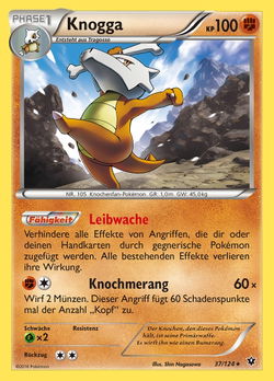 Knogga