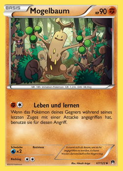 Mogelbaum