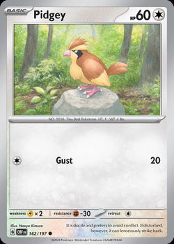 Pidgey