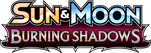 Burning Shadows